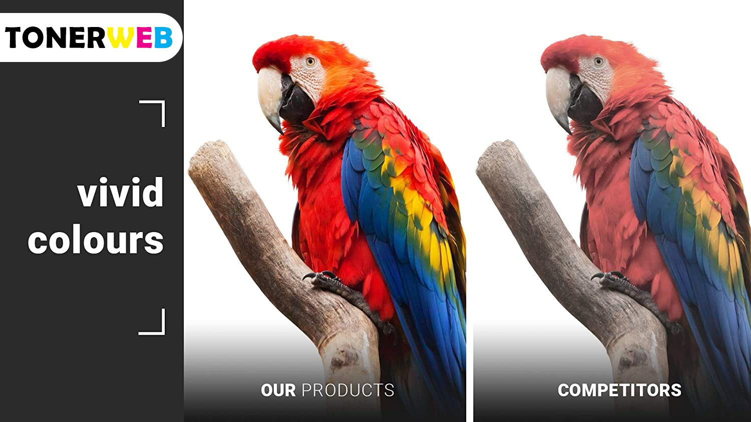 Epson Blekkpatron 113 Sort (140 ml) - Erstatter C13T06B140